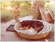 Click for large version